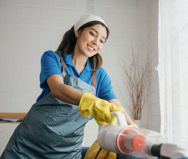 compressed_sv-image7